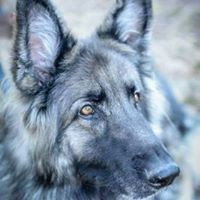 Profile Picture of Melanie Labranche (@melanie-labranche) on Quora