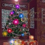 Profile Picture of Brandon Saling (@salingbrandon) on Instagram