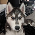 Profile Picture of Tyler rathbun (@trathbun00) on Instagram