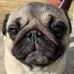Profile Picture of Robert Bobbin (@robert.bobbin.547) on Facebook