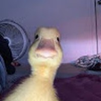 Profile Picture of Leah Snelling (@leah-snelling-7) on Quora