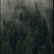 Profile Picture of Luca Aiello (@aielloluca501) on Youtube