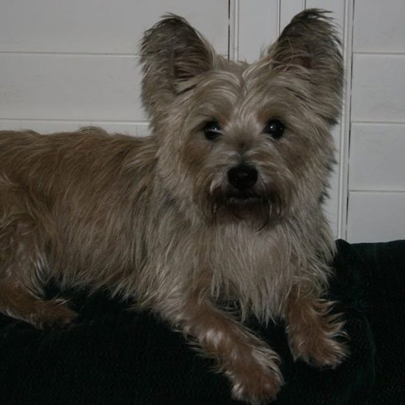 Profile Picture of Debbie Leogrande (@debleo26) on Poshmark