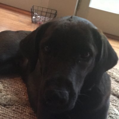 Profile Picture of Audrey Stack (@audreystack5) on Twitter