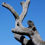 Profile Picture of Chris Petros (@cjp76) on Instagram