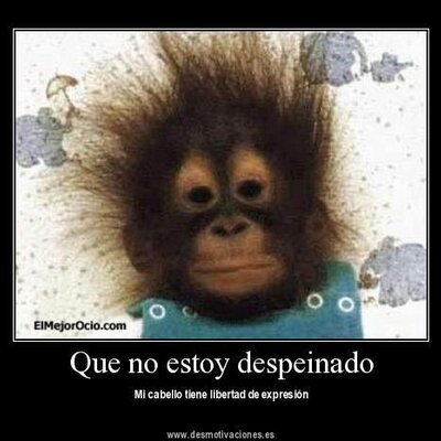 Profile Picture of Benjamin Cuellar Roc (@benjami43510894) on Twitter