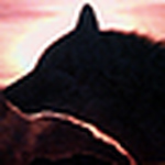 Profile Picture of big bad wolf >>>>> (@big bad wolf >>>>>) on Flickr