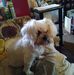 Profile Picture of Wayne Kasper (@wayne.kasper.98) on Facebook