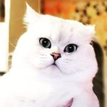 Profile Picture of DANIEL B.P • RICHARD B.P (@amur.mars) on Instagram