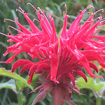 Michael Buras - Flickr Profile Picture of Michael Buras (@michaelburas) on Flickr