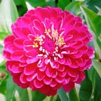 Profile Picture of Jimmy Peters (@Jimmy-Peters) on Facebook