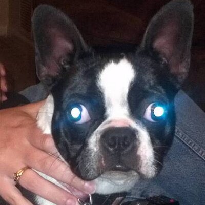 Profile Picture of Jason Pease (@peasejw58d) on Twitter