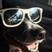 Profile Picture of Anna Cooper (@anna.cooper.9216) on Facebook