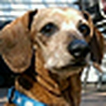 Profile Picture of Scott Weaver (@sweaver597) on Flickr