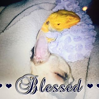 Profile Picture of Tina Judge (@tina.judge.5) on Facebook