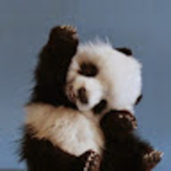 Profile Picture of Kim Lam (@kimngoclam2004) on Poshmark