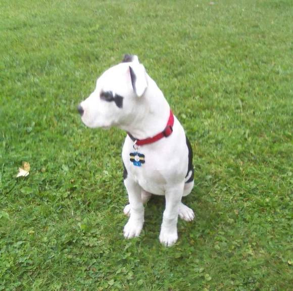 Profile Picture of Richard Templer (@richardtempler) on Poshmark