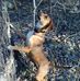 Profile Picture of David P. Thweatt (@bonnie.thweatt.9) on Facebook