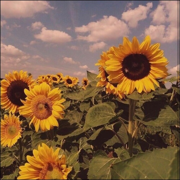 Profile Picture of Brye Waterhouse (@w_brye) on Poshmark