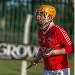 David Sheahan - Instagram Profile Picture of David Sheahan (@instasheahan) on Instagram