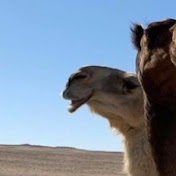 Profile Picture of J Andrew. (@jandrew.8712) on Youtube