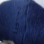 Profile Picture of Barry Terrence (@barry.terrance) on Instagram