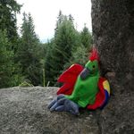 Profile Picture of Toby Patrick Fritzi (@babsagei_tobypatrickfritzi) on Instagram