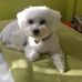 Profile Picture of Cheryl McGrath (@cheryl.mcgrath.18062) on Facebook