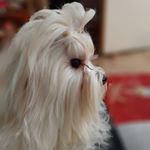 Profile Picture of Carl Thor (@carlthor2019) on Instagram