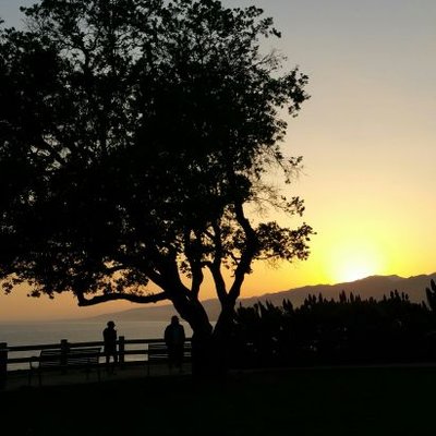 Profile Picture of Mark Brenner (@markb91361) on Twitter