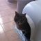 Profile Picture of Piccolo Grande Gary (@Piccolo-Grande-Gary) on Facebook