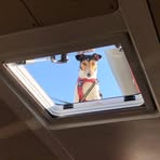 Profile Picture of Kristel Poupaert (@kristel.poupaert) on Facebook