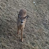 Profile Picture of Pete Horton (@pete-horton-11) on Quora