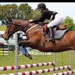 Profile Picture of ~ Rebecca Chamberlain ~ (@rebecca_equine) on Instagram