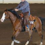 Profile Picture of Daniel Stillinger (@danielstillinger) on Instagram