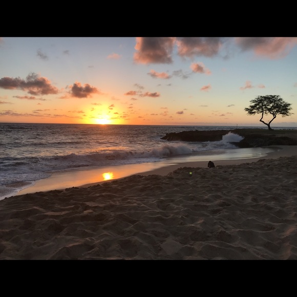 Profile Picture of April Ganitoen (@aprilg12) on Poshmark