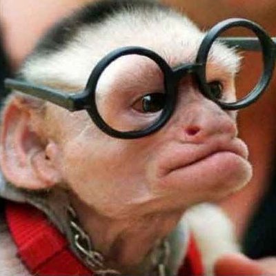 Profile Picture of Travis Butcher (@bbiggbbaddbboyy) on Twitter