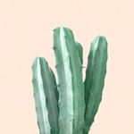 Profile Picture of Alexandria Fields (@cacti_hoarder) on Instagram