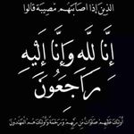 Kamal Masri - Instagram Profile Picture of Kamal Masri (@kamalmasri577) on Instagram