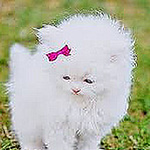 Profile Picture of Gazel ATALAR (@gazelatalar) on Flickr