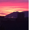 Profile Picture of Bianca toro (@@b_inca) on Tiktok