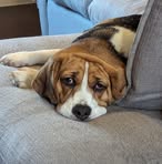 Profile Picture of James McMorran (@James-McMorran) on Facebook