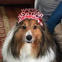 Profile Picture of Kevin Hannon (@kevin-hannon-18) on Quora