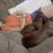 Profile Picture of Lisa Pyatt (@pyattl43) on Pinterest