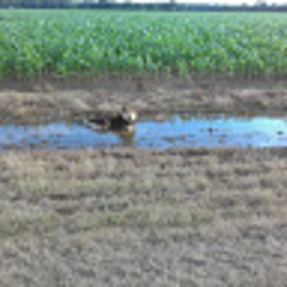 Profile Picture of James Greer (@jamesgreer119) on Poshmark