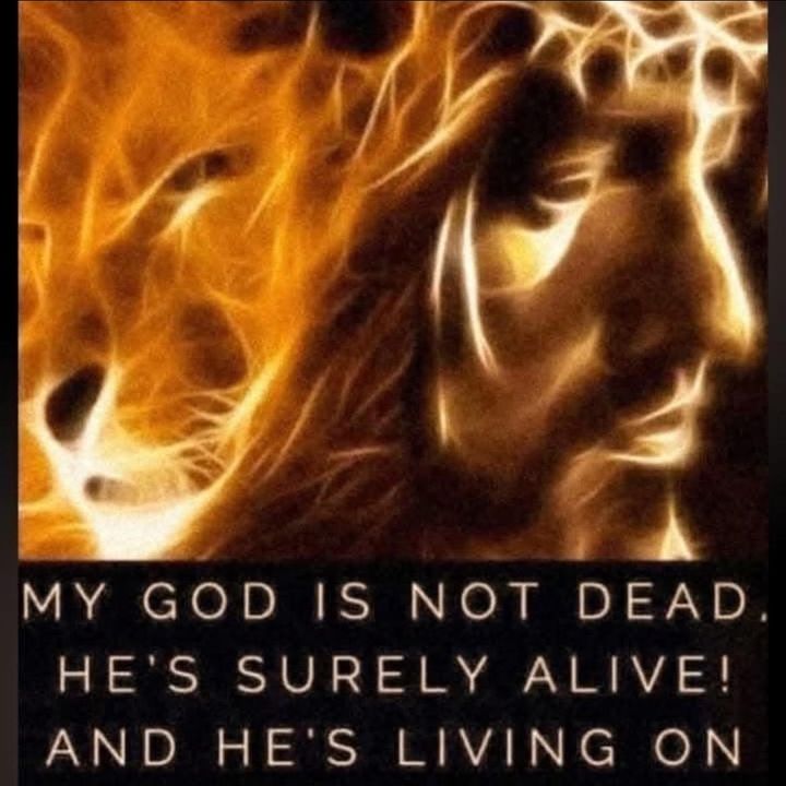 Profile Picture of James Hargis (@james.hargis13) on Tiktok