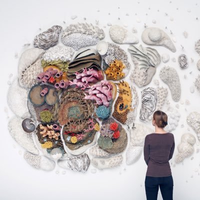 Profile Picture of Courtney Mattison (@CourtneyCoral) on Twitter