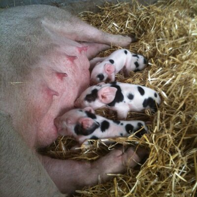 Profile Picture of Mark Cullum (@markcullum_mark) on Twitter