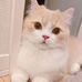 Profile Picture of Williams Smith (@Williams-Smith) on Facebook