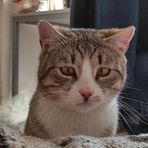 Profile Picture of Jack Cliff (@Jack-Cliff) on Facebook